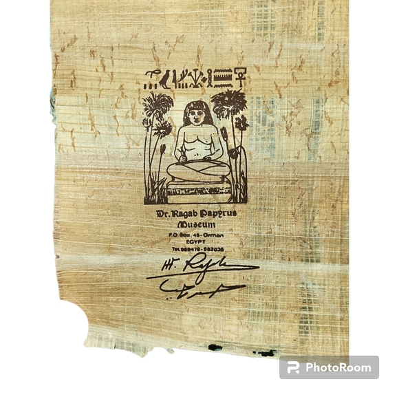 *Free Shipping* Egyptian Papyrus Hand Painted Museum Print Nefertiti 7×10 - Picture 4 of 9